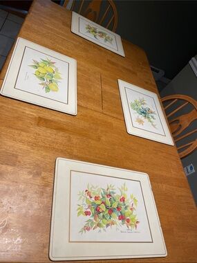 Vintage Pimpernel Floral Fruit Illustration by Carole Holding Cork Placemats